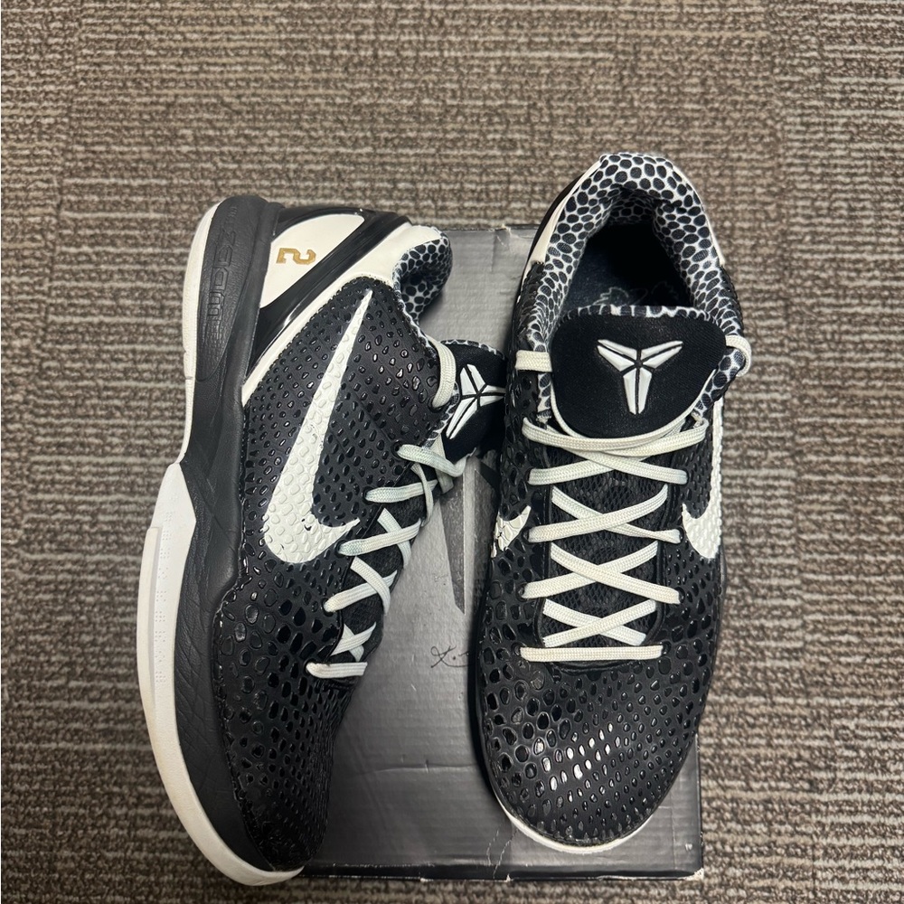 Kobe 6 mambacita